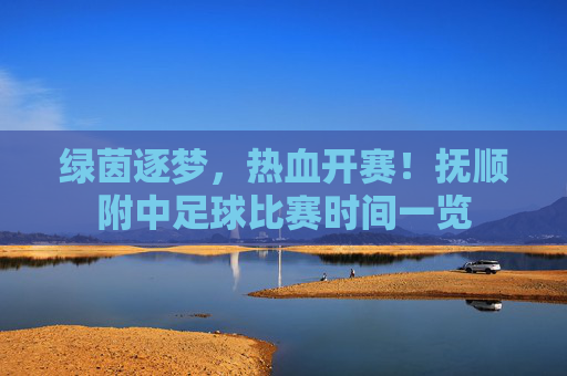 绿茵逐梦，热血开赛！抚顺附中足球比赛时间一览