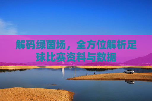 解码绿茵场,全方位解析足球比赛资料与数据