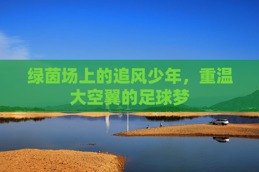 绿茵场上的追风少年,重温大空翼的足球梦