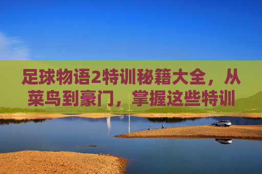 足球物语2特训秘籍大全，从菜鸟到豪门，掌握这些特训技巧轻松夺冠