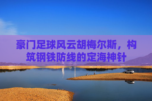 豪门足球风云胡梅尔斯,构筑钢铁防线的定海神针