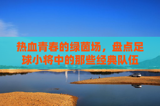 热血青春的绿茵场,盘点足球小将中的那些经典队伍