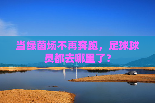 当绿茵场不再奔跑,足球球员都去哪里了?