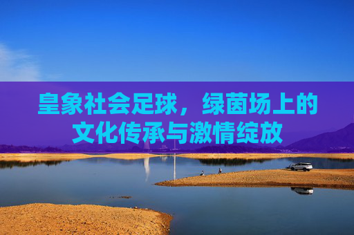 皇象社会足球,绿茵场上的文化传承与激情绽放