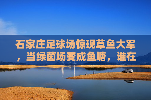 石家庄足球场惊现草鱼大军,当绿茵场变成鱼塘,谁在盘这方水土?