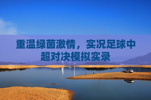 重温绿茵激情,实况足球中超对决模拟实录