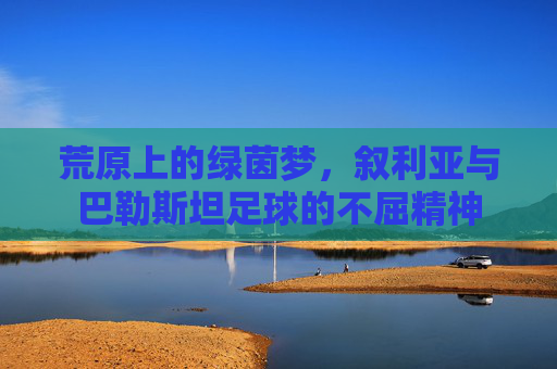 荒原上的绿茵梦,叙利亚与巴勒斯坦足球的不屈精神