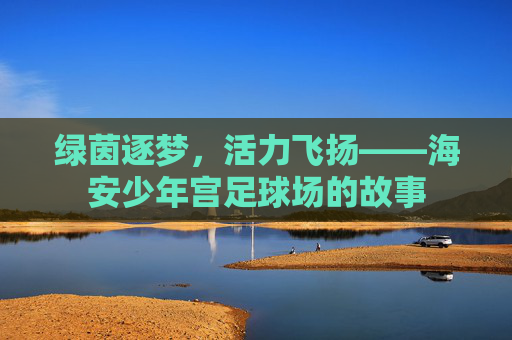 绿茵逐梦,活力飞扬——海安少年宫足球场的故事
