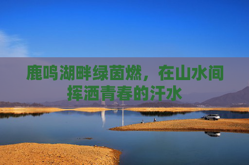 鹿鸣湖畔绿茵燃，在山水间挥洒青春的汗水