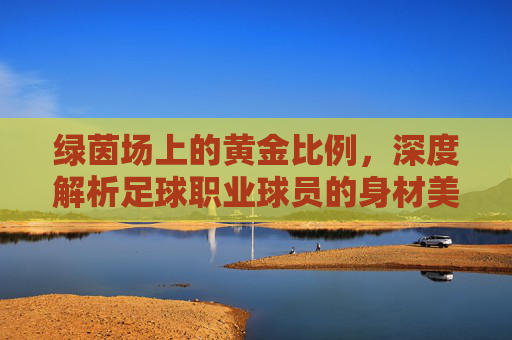 绿茵场上的黄金比例,深度解析足球职业球员的身材美学与科学