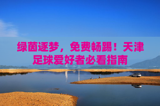绿茵逐梦,免费畅踢!天津足球爱好者必看指南