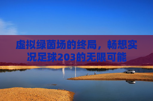 虚拟绿茵场的终局,畅想实况足球203的无限可能