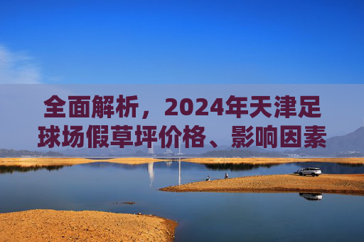 全面解析,2024年天津足球场假草坪价格、影响因素及选购指南