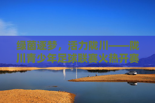 绿茵逐梦,活力陇川——陇川青少年足球联赛火热开赛