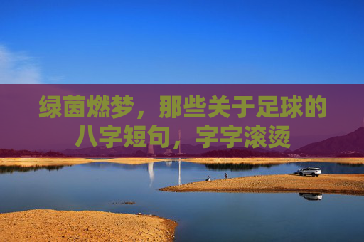 绿茵燃梦,那些关于足球的八字短句,字字滚烫