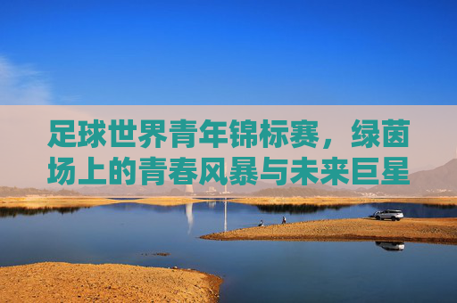足球世界青年锦标赛,绿茵场上的青春风暴与未来巨星的摇篮