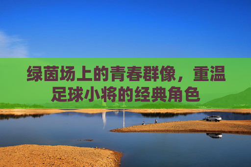 绿茵场上的青春群像,重温足球小将的经典角色