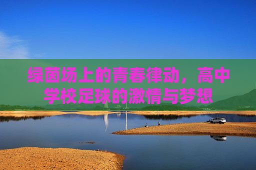 绿茵场上的青春律动，高中学校足球的激情与梦想