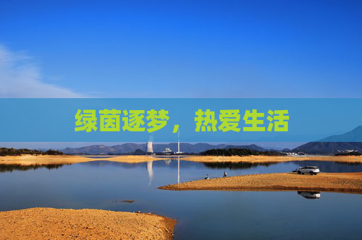 绿茵逐梦,热爱生活