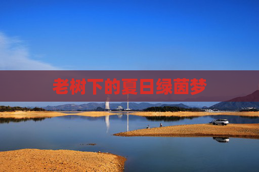 老树下的夏日绿茵梦