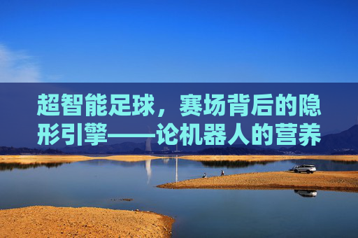 超智能足球,赛场背后的隐形引擎——论机器人的营养与能量