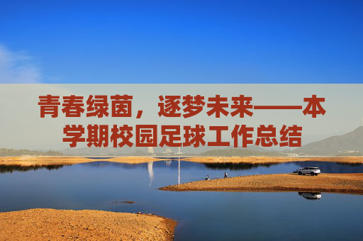 青春绿茵,逐梦未来——本学期校园足球工作总结