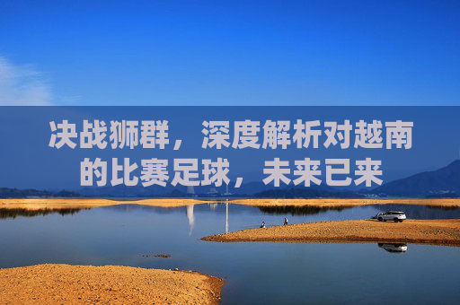 决战狮群,深度解析对越南的比赛足球,未来已来