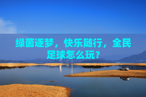 绿茵逐梦,快乐随行,全民足球怎么玩?
