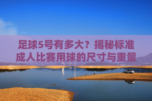 足球5号有多大？揭秘标准成人比赛用球的尺寸与重量