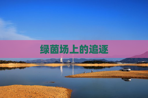 绿茵场上的追逐