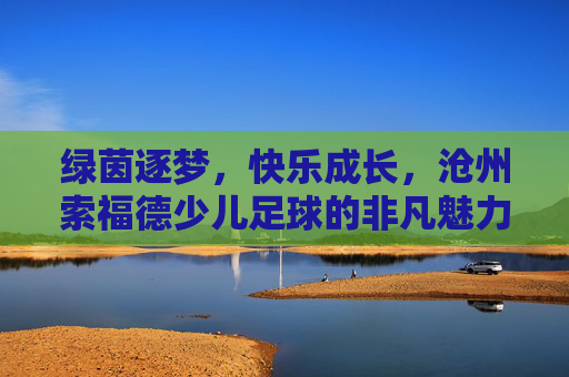 绿茵逐梦,快乐成长,沧州索福德少儿足球的非凡魅力