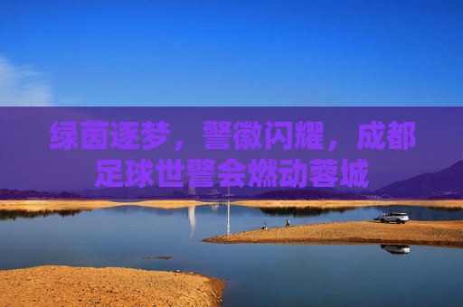 绿茵逐梦,警徽闪耀,成都足球世警会燃动蓉城