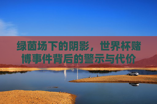 绿茵场下的阴影,世界杯赌博事件背后的警示与代价