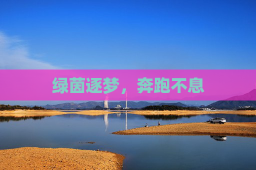 绿茵逐梦，奔跑不息