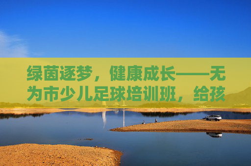 绿茵逐梦，健康成长——无为市少儿足球培训班，给孩子一个驰骋的童年