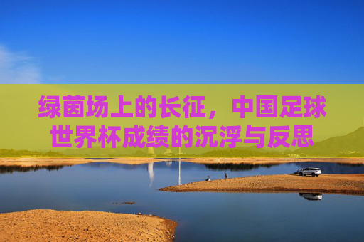绿茵场上的长征，中国足球世界杯成绩的沉浮与反思