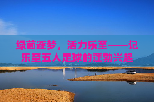 绿茵逐梦,活力乐至——记乐至五人足球的蓬勃兴起