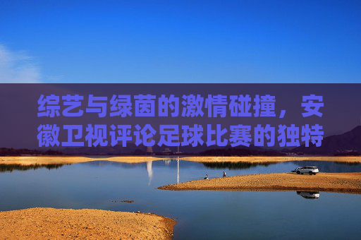 综艺与绿茵的激情碰撞,安徽卫视评论足球比赛的独特风格
