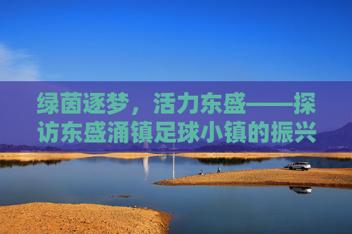 绿茵逐梦,活力东盛——探访东盛涌镇足球小镇的振兴之路