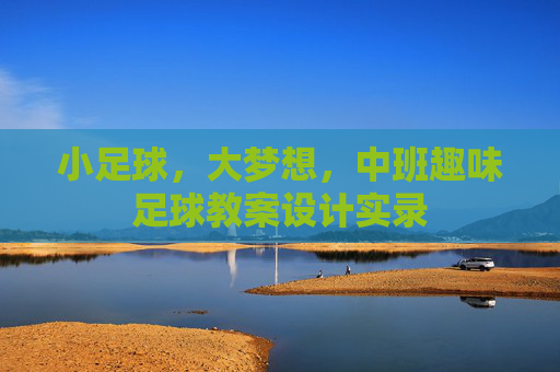 小足球，大梦想，中班趣味足球教案设计实录