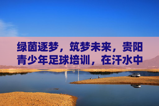 绿茵逐梦,筑梦未来,贵阳青少年足球培训,在汗水中铸就卓越品格