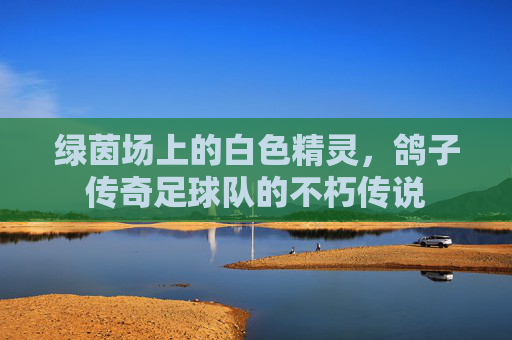 绿茵场上的白色精灵,鸽子传奇足球队的不朽传说