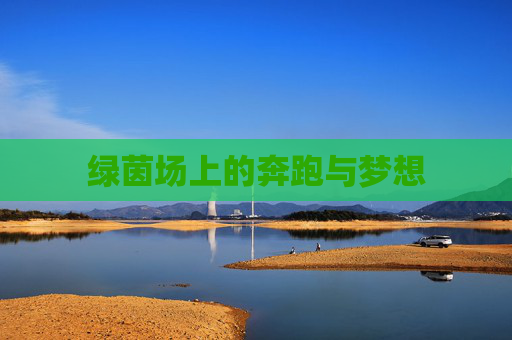 绿茵场上的奔跑与梦想