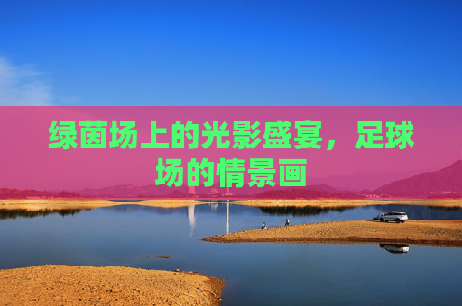 绿茵场上的光影盛宴,足球场的情景画