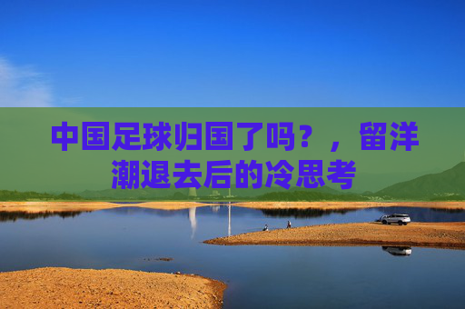 中国足球归国了吗?,留洋潮退去后的冷思考