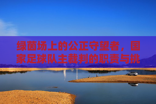 绿茵场上的公正守望者,国家足球队主裁判的职责与挑战