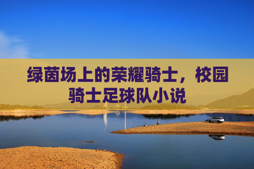绿茵场上的荣耀骑士，校园骑士足球队小说