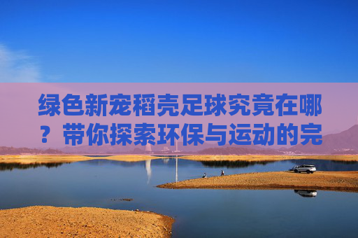 绿色新宠稻壳足球究竟在哪？带你探索环保与运动的完美结合