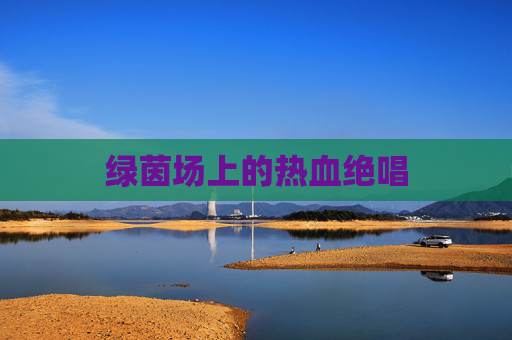 绿茵场上的热血绝唱