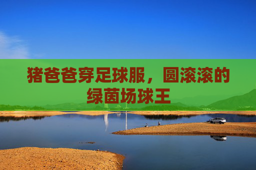 猪爸爸穿足球服,圆滚滚的绿茵场球王